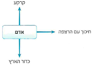 (בספר איור, היעזר במנחה)